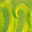 Patterns of Nature Screensaver icon